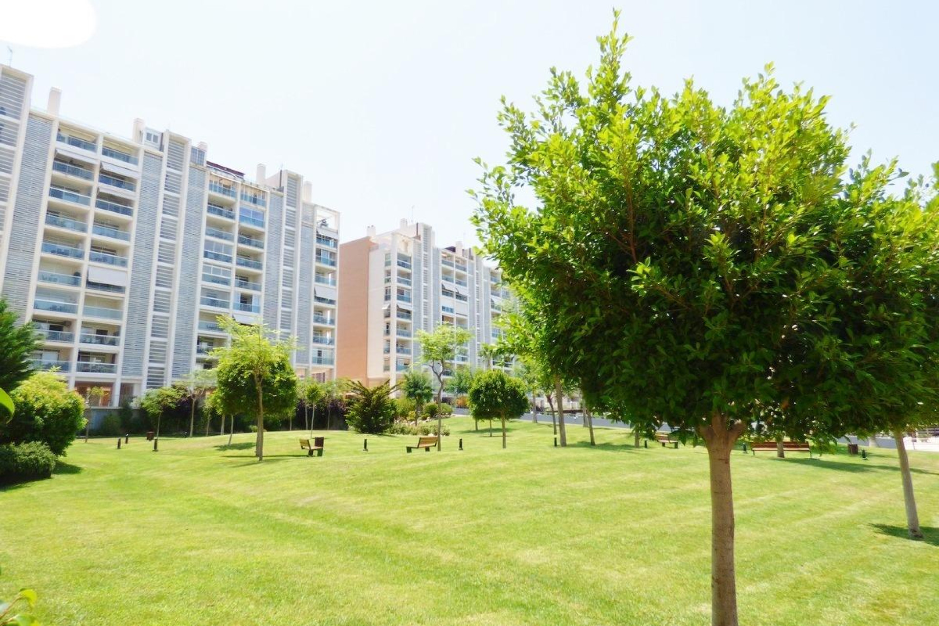 Alquiler a largo plazo - Apartamento / piso - Alicante - Playa de San Juan