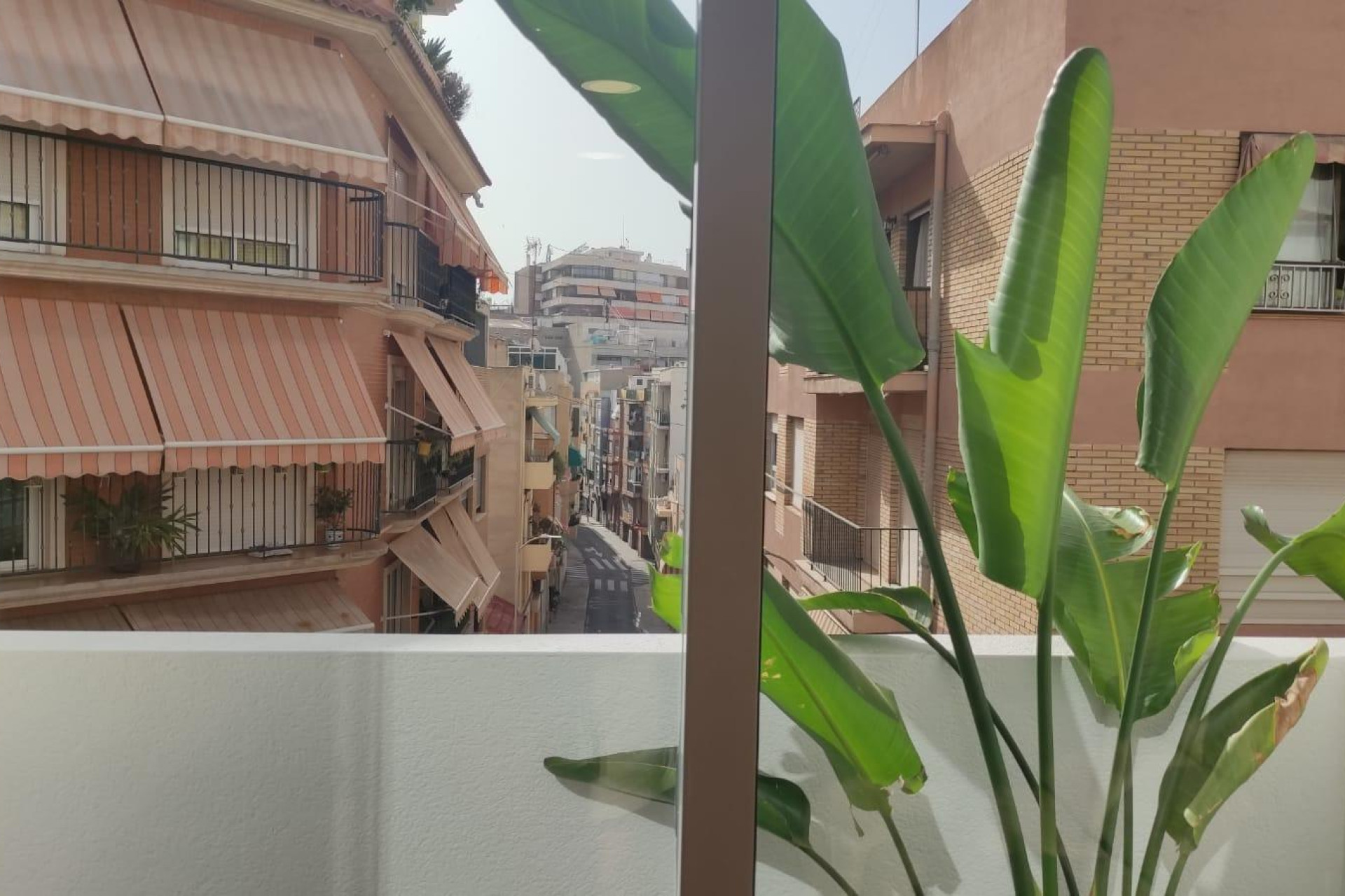 Alquiler a largo plazo - Apartamento / piso - SAN JUAN ALICANTE - Centro