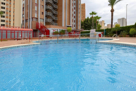 Apartamento / piso - Alquiler a largo plazo - Benidorm - Benidorm