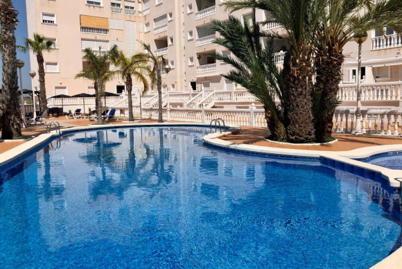 Apartamento / piso - Alquiler a largo plazo - Guardamar del Segura - JJSLP-53912