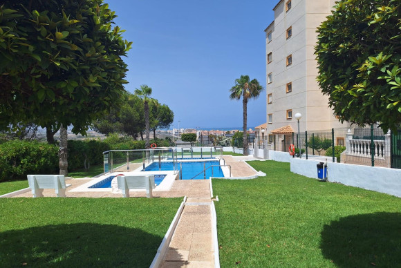 Apartamento / piso - Alquiler a largo plazo - Torrevieja - Torre la mata