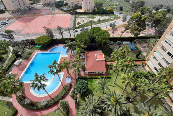 Apartamento / piso - Reventa - El Campello - Playa muchavista