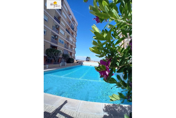 Apartamento / piso - Reventa - La Pobla de Farnals - platja de La Pobla de Farnals