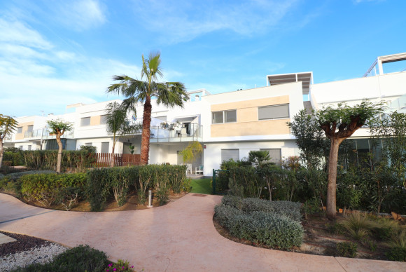 Apartamento / piso - Reventa - Los Montesinos - Entre Naranjos / Vistabella Golf