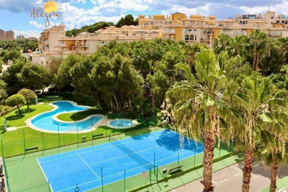 Apartamento / piso - Reventa - Orihuela Costa - Altos de Campoamor