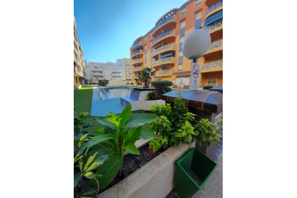 Apartamento / piso - Reventa - Torrevieja - Torrevieja