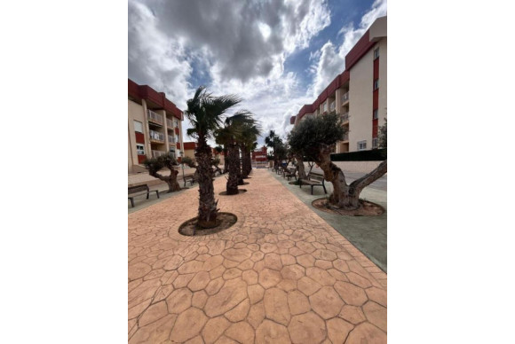 Apartamentos - New Build - Orihuela - Orihuela