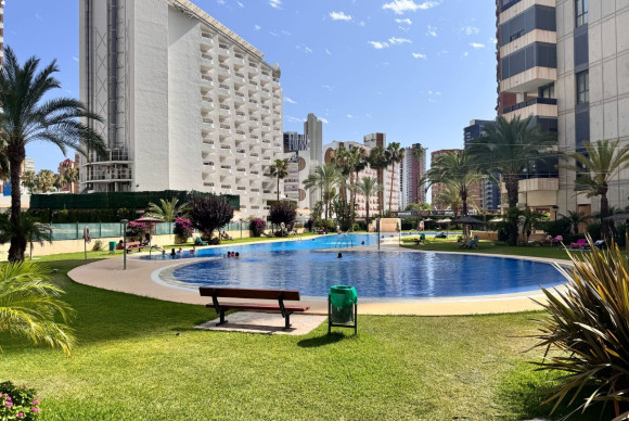 Apartment / flat - Reventa - Benidorm - Levante