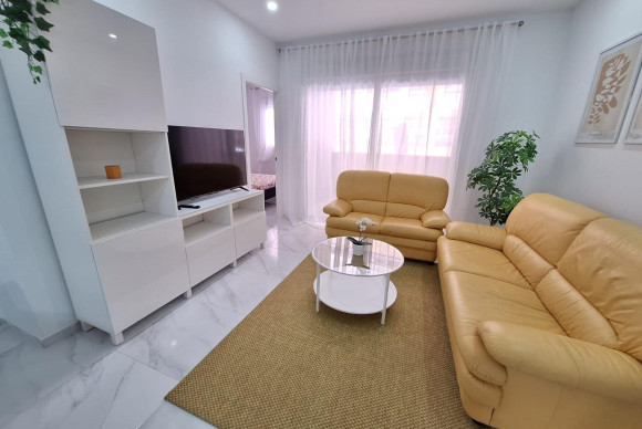 Apartment  - Long Term Rental - Torrevieja - Estacion de autobuses