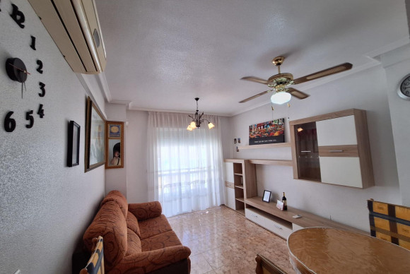 Apartment  - Long Term Rental - Torrevieja - Estacion de autobuses