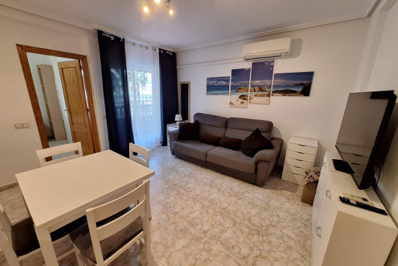 Apartment  - Long Term Rental - Torrevieja - Estacion de autobuses