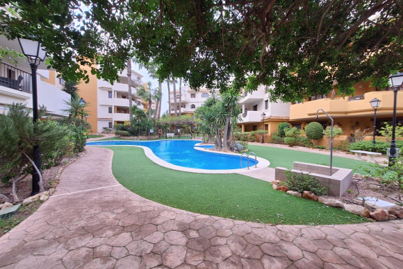 Apartment  - Long Term Rental - Torrevieja - Punta prima