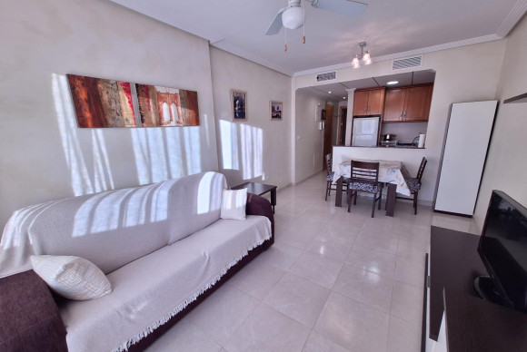 Apartment  - Long Term Rental - Torrevieja - Torrevieja