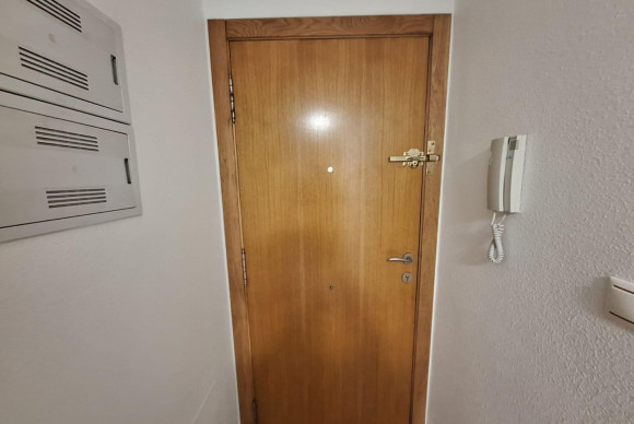 Apartment  - Long Term Rental - Torrevieja - Torrevieja