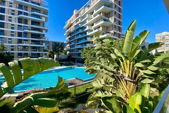 Apartment  - Resale - Alicante - Pau V