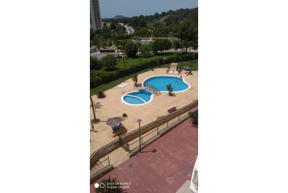 Apartment  - Resale - Benidorm - Pueblo Poniente