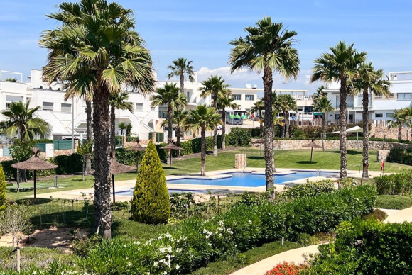 Apartment  - Resale - Los Montesinos - Entre Naranjos / Vistabella Golf