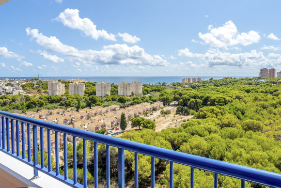 Apartment  - Resale - Orihuela Costa - Campoamor