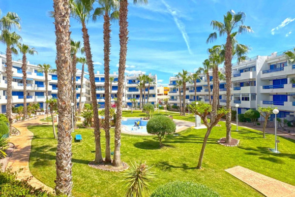 Apartment  - Resale - Orihuela Costa - Playa Flamenca