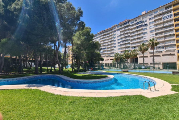 Apartment  - Resale - Orihuela - Orihuela