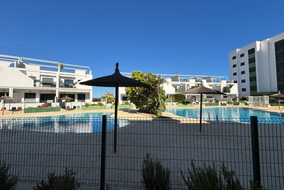 Apartment  - Resale - Pilar de la Horadada - Mil Palmeras