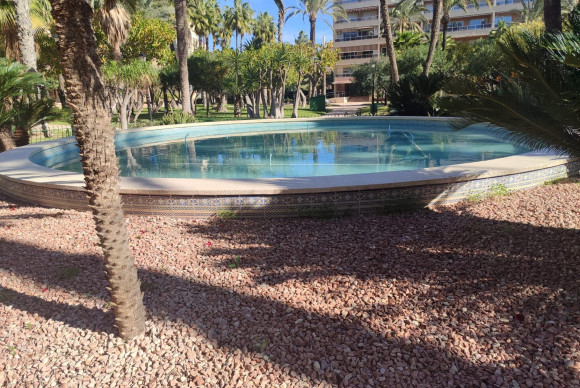 Apartment  - Resale - Torrevieja - A10401