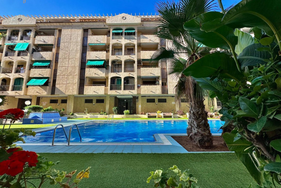 Apartment  - Resale - Torrevieja - Centro