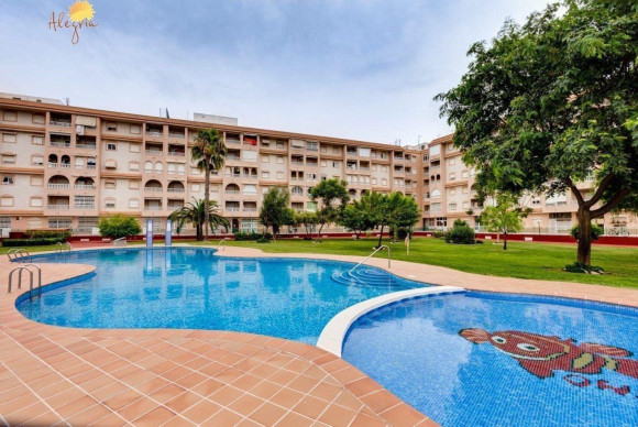 Apartment  - Resale - Torrevieja - Centro