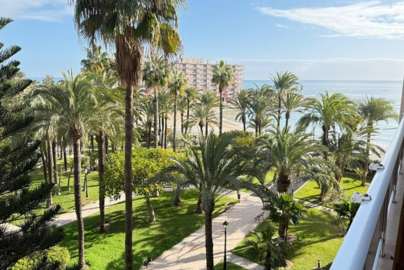 Apartment  - Resale - Torrevieja - Los Frutales