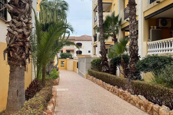 Apartment  - Resale - Torrevieja - Los Frutales