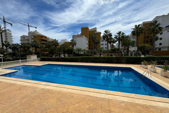 Apartment  - Resale - Torrevieja - Punta prima