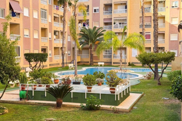 Apartment  - Resale - Torrevieja - torrevieja