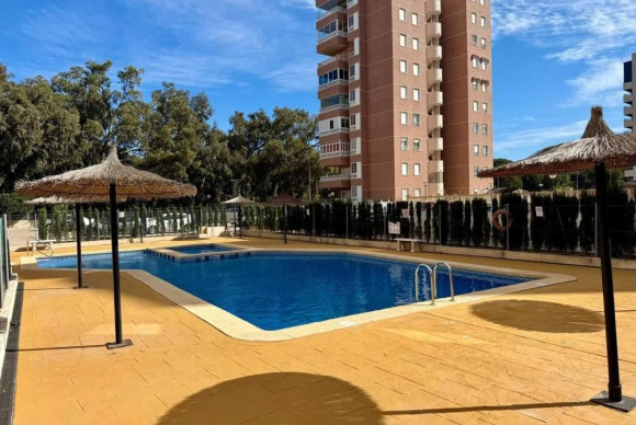 Appartement  - Herverkoop - Guardamar del Segura - Guardamar del Segura