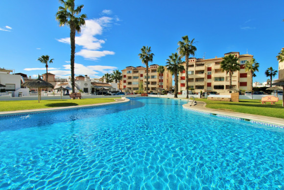 Appartement  - Herverkoop - Playa Flamenca - Playa Flamenca
