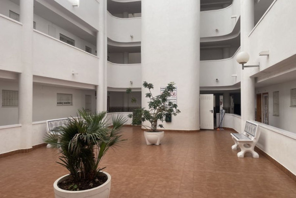 Appartement  - Herverkoop - Torrevieja - Torrevieja