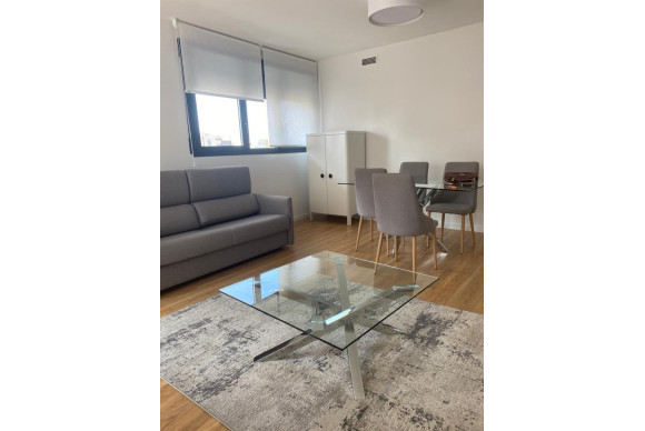 Appartement - Location à long terme - Alicante - Pau V