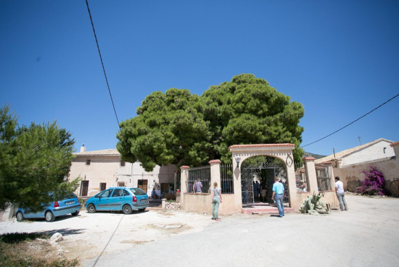 Bodega - Reventa - PINOSO - CENTRO