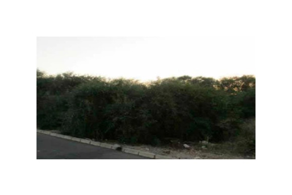 Building - New Build - Murcia - JJPVITH-31720