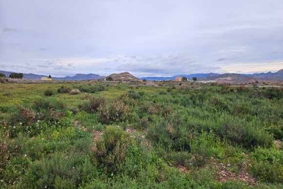 Country House - Resale - Novelda - Novelda