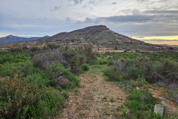 Country House - Resale - Novelda - Novelda