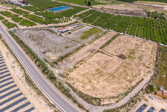 Country House - Reventa - Los Montesinos - Los Montesinos