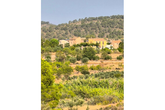 Country House - Reventa - Pinoso - Pinoso