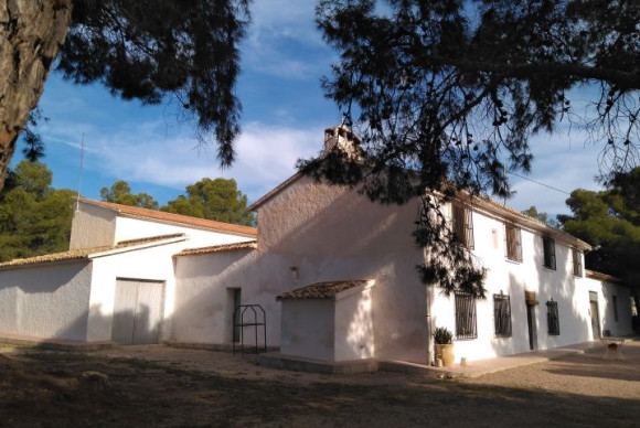 Country House - Revente - Aspe - JJVENDO-96675