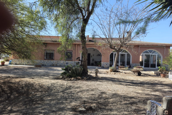 Country House - Revente - Elche - Elche