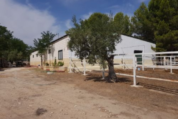 Country House - Revente - Onil - Onil