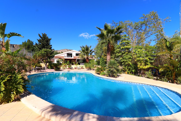 Country Property - Revente - Aspe - JJVRE-76179