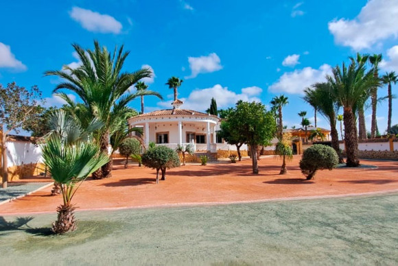 Country Property - Revente - Catral - Catral - Country