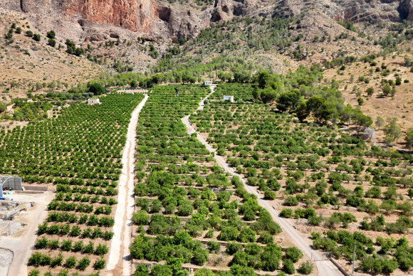 Finca Country Property - Reventa - Orihuela - Orihuela