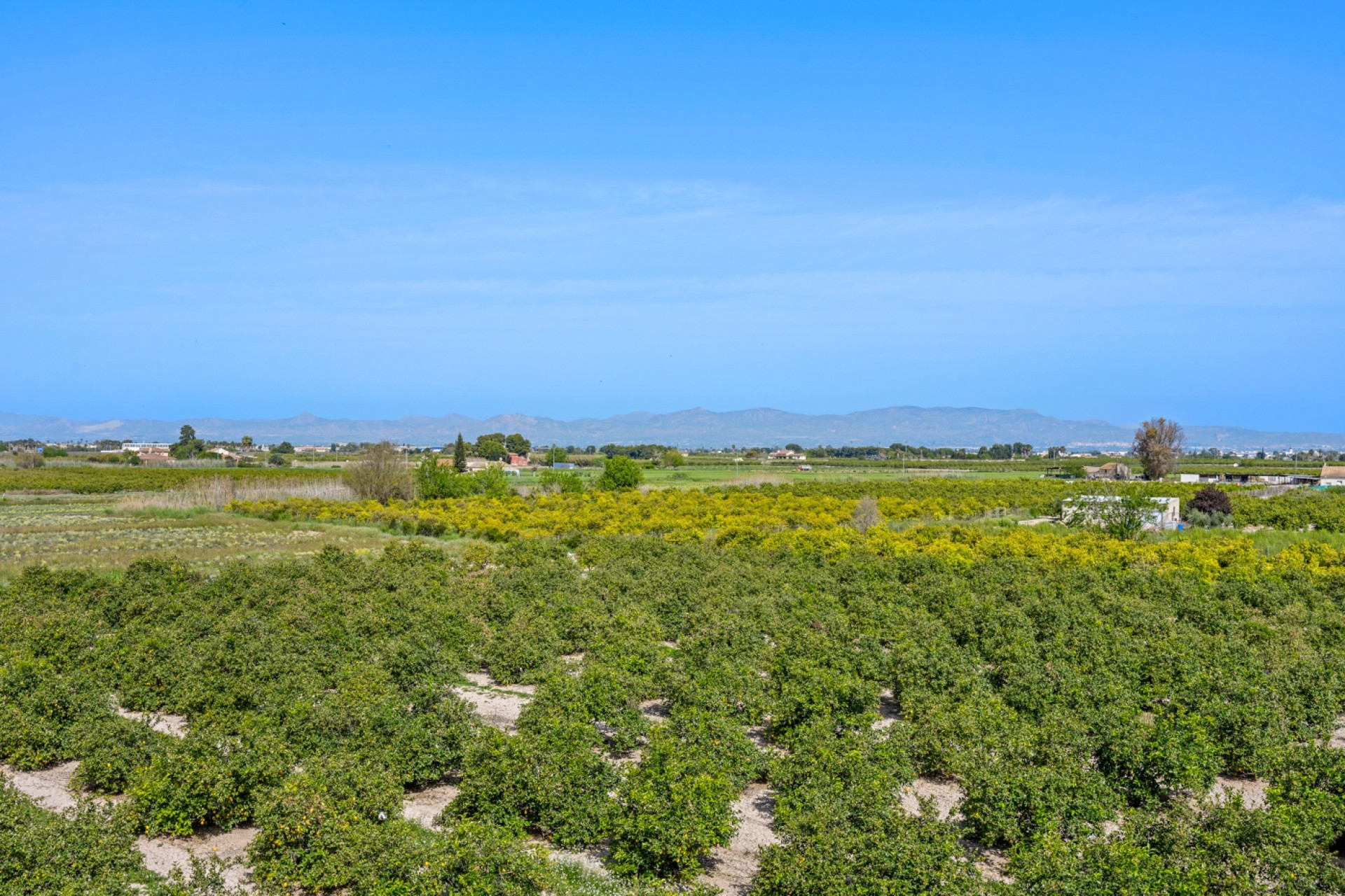 Herverkoop - 1. Apartment / flat - Daya Nueva - Costa Blanca South