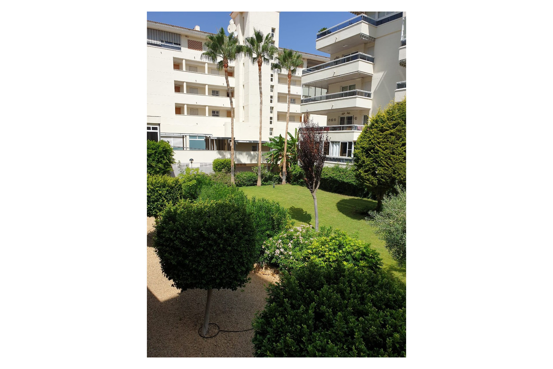 Herverkoop - Apartment / flat - Albir - center